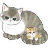 mofu cats 23