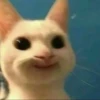 Funny Animals 3 26