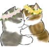 mofu cats 24