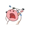 Momo 26