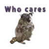 Naughty Raccoon ( 15
