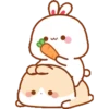 Bunny 28