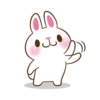 Molly The Rabbit 29