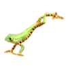 frogs 26