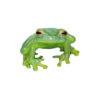 frogs 27