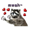 Naughty Raccoon ( 16
