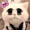 Kitty_cute 29