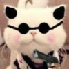 Kitty_cute 30