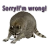 Naughty Raccoon ( 17