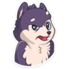 Husky_Gesh 30