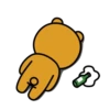 ryankakao 30