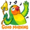 ✔
GOOD MORNING
