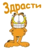 Garfield_2 5