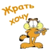 Garfield_2 6