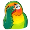 Love Bird 11