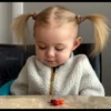 - BaBy 5