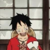 monkey d luffy 7