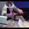 Monkeys 11