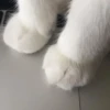 MoonMakerr 7