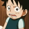 monkey d luffy 8
