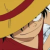 monkey d luffy 9