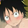 monkey d luffy 11