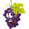 Crazy fruits 15