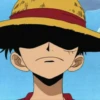 monkey d luffy 12