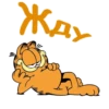 Garfield_2 9