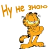 Garfield_2 10