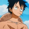 monkey d luffy 13