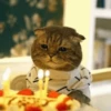 GuGuli face 13