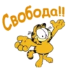 Garfield_2 11