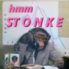 Monkeys 16