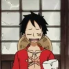 monkey d luffy 14