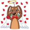 Cupid Dog 14