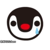 Pingu 13