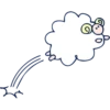 THE SHEEPS 12