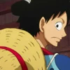 monkey d luffy 15