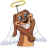 Cupid Dog 15