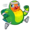 Love Bird 16