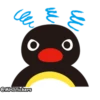 Pingu 14