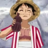 monkey d luffy 17