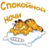 Garfield_2 14