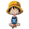 Kid one piece 17
