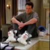 F.R.I.E.N.D.S 16