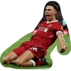 Liverpool FC 18