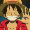 monkey d luffy 18