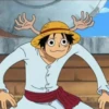 monkey d luffy 19