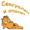 Garfield_2 17